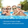 imageIn The Swim Algaecide 50 for Swimming Pools  Green Black and Yellow Algae Treatment for Above Ground or Inground Swimming Pools  4 Quarts4Pack 1 Quart