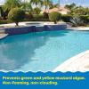 imageIn The Swim Algaecide for Swimming Pools  Green and Yellow Algae Preventative  NonClouding NonFoaming Formula  10 Quaternary Compound  1 QuartSingle