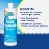 imageIn The Swim Black Algaecide  Eradicates Black Algae in Swimming Pools  Copper Sulfate Pentahydrate  1 Quart2Pack