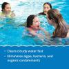 imageIn The Swim Premium 3in1 Pool Shock  DiZap Contains Dichlor Algaecide and Stabilizer  12 x 1 lb Bags12 x 1 Pound