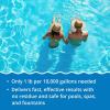 imageIn The Swim Premium 3in1 Pool Shock  DiZap Contains Dichlor Algaecide and Stabilizer  12 x 1 lb Bags12 x 1 Pound