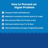 imageIn The Swim Super Algaecide for Above Ground or Inground Swimming Pools  Low Odor NonFoaming Preventative for YellowMustard Algae in Swimming Pools  71 Chelated Copper  1 GallonAlgaecide