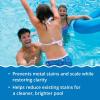 imageIn The Swim Super Stain Away  Ultimate Swimming Pool Stain Remover  Prevents Stains Scaling and BuildUp  4 x 1 Quart BottlesStandard