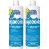 imageIn The Swim Algaecide for Swimming Pools  Green and Yellow Algae Preventative  NonClouding NonFoaming Formula  10 Quaternary Compound  1 Quart2Pack