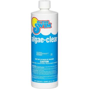 imageIn The Swim AlgaeClear for Above Ground or Inground Swimming Pools  Powerful NonFoaming Algaecide and Water Clarifier  Removes Green YellowMustard and Black Algae  1 Quart1 Qt