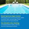 imageIn The Swim Algaecide 60 Plus for Swimming Pools  NonMetallic Low Odor NonFoaming Algae Bloom Preventative  Chlorine Sanitizer Compatible  1 Quart1 Quart