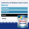 imageIn The Swim Dark Blue Epoxy Swimming Pool Paint  EpoxyBase High Gloss Swimming Pool Paint  Long Lasting Stain Resistant  1 Gallon