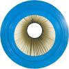 imageIn The Swim Premium Pool Filter Cartridge Replacement for Pentair Clean and Clear 200 Predator CC200 FilterPremium