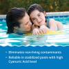 imageIn The Swim Quick Clear Green  Turn Your Pool Water from Green and Cloudy to Sparkling Blue  2 PoundQCG  12 x 1 CH Bundle