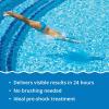 imageIn The Swim Quick Clear Green  Turn Your Pool Water from Green and Cloudy to Sparkling Blue  2 PoundQCG  12 x 1 CH Bundle