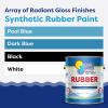 imageIn The Swim Synthetic RubberBase Pool Paint  Black 1 Gallon