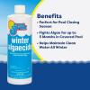 imageIn The Swim Winter Swimming Pool Algaecide  1 Quart2Pack 1 Quart