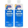 imageIn The Swim Winter Swimming Pool Algaecide  1 Quart2Pack 1 Quart