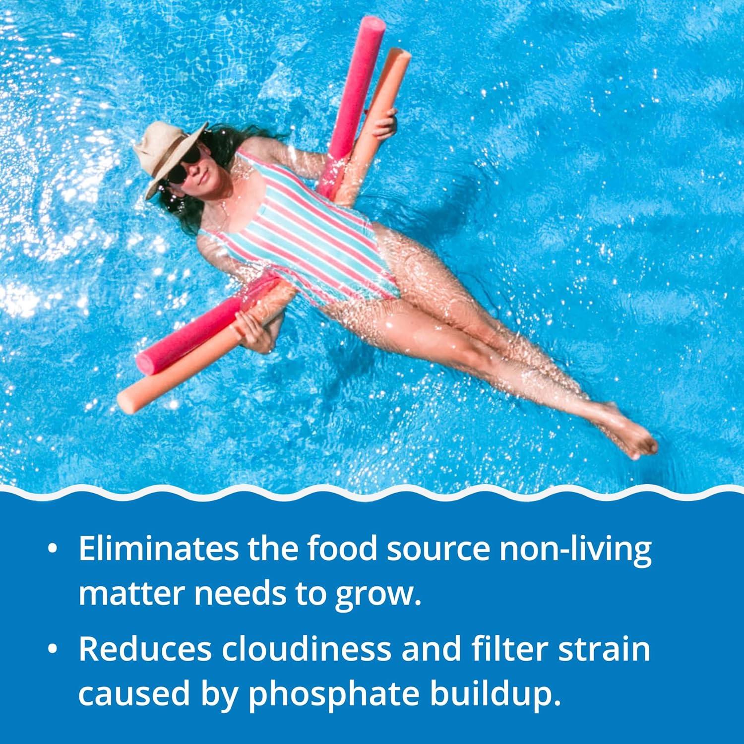 imageIn The Swim  Pure Clear  No Phos  Reduces Phosphates ampamp Removes NonLiving Matter for Clearer Water  3 Liter  2PackNo Phos