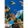 imageIn The Swim 15 Round 20 Mil Overlap Pool Liner for Above Ground Swimming Pools  Swirl Bottom Design  4852 Inch Wall Height20 milCaribbean